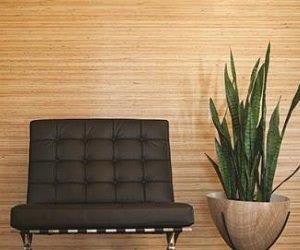 1652344731870 I 0415 Striata