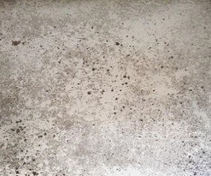 1652344909472 I 0215 Cle