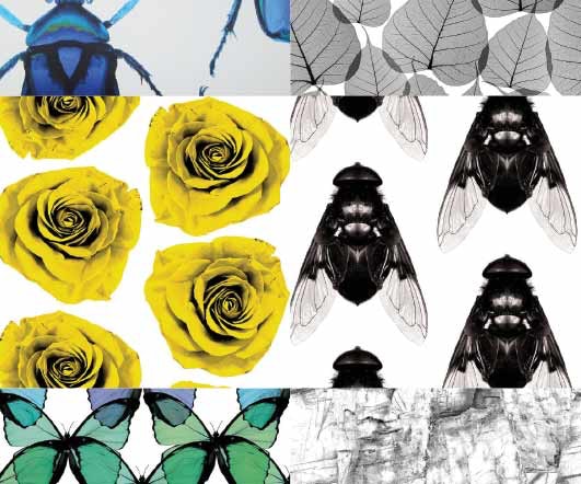 1652345040645 I 0115 Web Edch 10