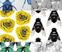 1652345040645 I 0115 Web Edch 10 1652345040645 I 0115 Web Edch 10