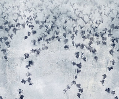 1652345042148 I 0115 Web Edch 4