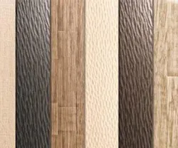 1652345134273 I 1114 Treefrog Web 1652345134273 I 1114 Treefrog Web