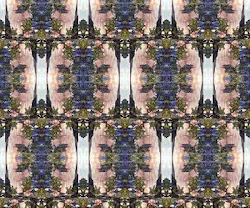 1652345341269 I 1020 Beggars 1652345341269 I 1020 Beggars