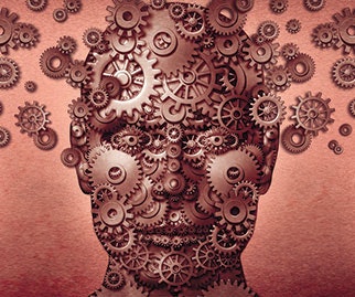 1652345439453 I 1014 Web Fieldnotes 1