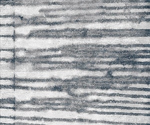 1652345967836 I 0614 Web Flrg 1