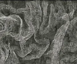 1652346109647 I 0514 Robingray 1652346109647 I 0514 Robingray