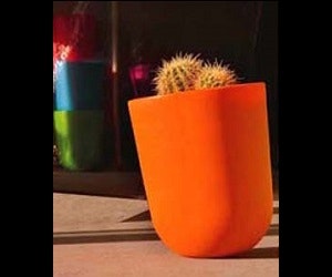 1652346324122 I 0314 Magnusson