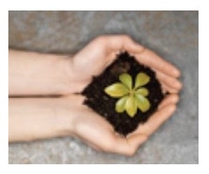 1652346390312 I 0314 Tarketthc