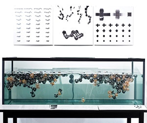 1652346522995 I 0314 Web Iida 1