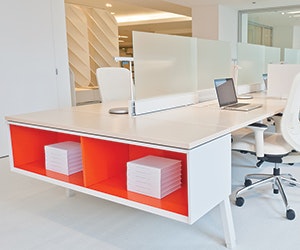 1652347258576 I 1013 Web Focus 1