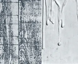 1652348247870 I 0413 Web S Wall 4 1652348247870 I 0413 Web S Wall 4