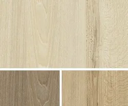 1652348906701 I 1212 Schattdecor 1652348906701 I 1212 Schattdecor