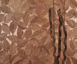 1652349032710 I 0412 Web S Wallcvr 2 1652349032710 I 0412 Web S Wallcvr 2