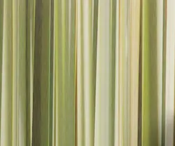 1652349553190 I 0812 Web Glass 5 1652349553190 I 0812 Web Glass 5