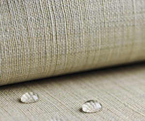 I_0412_Web_S_WallCvr_5