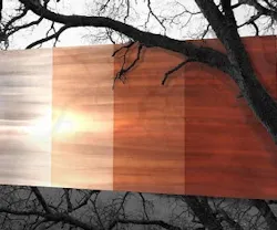 1652350783475 I 1211 Metalwoodz 1652350783475 I 1211 Metalwoodz