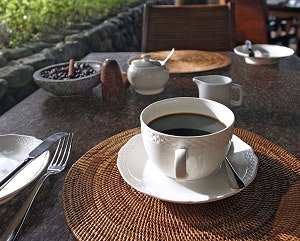 1652351141782 I 1011 Woodlandscharcoalmist