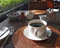 1652351141782 I 1011 Woodlandscharcoalmist 1652351141782 I 1011 Woodlandscharcoalmist