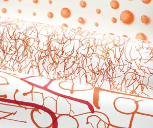 1652351339028 I 0911 Web Wallcvrgs 1