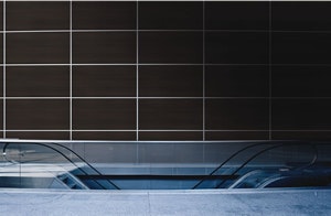 1652352987842 I 0510 Sneopre Chemetaltreefrog