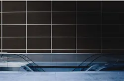 1652352987842 I 0510 Sneopre Chemetaltreefrog 1652352987842 I 0510 Sneopre Chemetaltreefrog