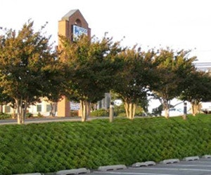 1652353665566 A 0510 Atw Smartslope