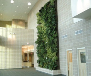 1652353985771 A 0310 Atw Livingwalls1