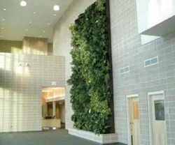 1652353985771 A 0310 Atw Livingwalls1 1652353985771 A 0310 Atw Livingwalls1