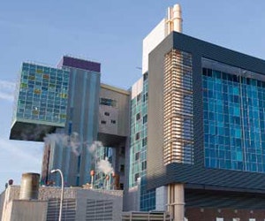 1652354170650 A 0110 Atw Treehouse1