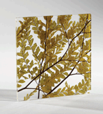 1652358414035 Nwdesigntex