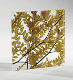 1652358414035 Nwdesigntex 1652358414035 Nwdesigntex