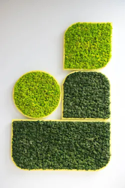 1652363884684 Buzzispace Buzzimood 8 1652363884684 Buzzispace Buzzimood 8