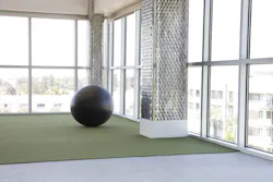 1652364644918 Ecorewellnesscollection 1652364644918 Ecorewellnesscollection