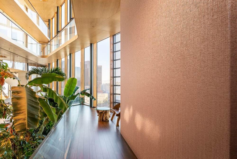 1652365350853 Barkley