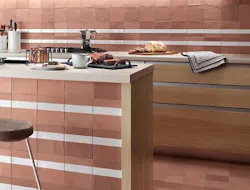 1652365644612 Dash Nemotilestone 500 1652365644612 Dash Nemotilestone 500