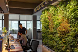 In addition to the visual and biophilic benefits, living walls are also green in an environmental sense, contributing to natural air purification, cooling and humidification. In addition to the visual and biophilic benefits, living walls are also green in an environmental sense, contributing to natural air purification, cooling and humidification.
