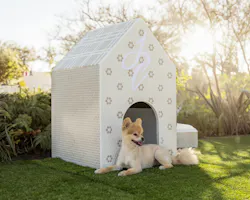 Coverings 2024 Doghouses Jeffrey Court Coverings 2024 Doghouses Jeffrey Court