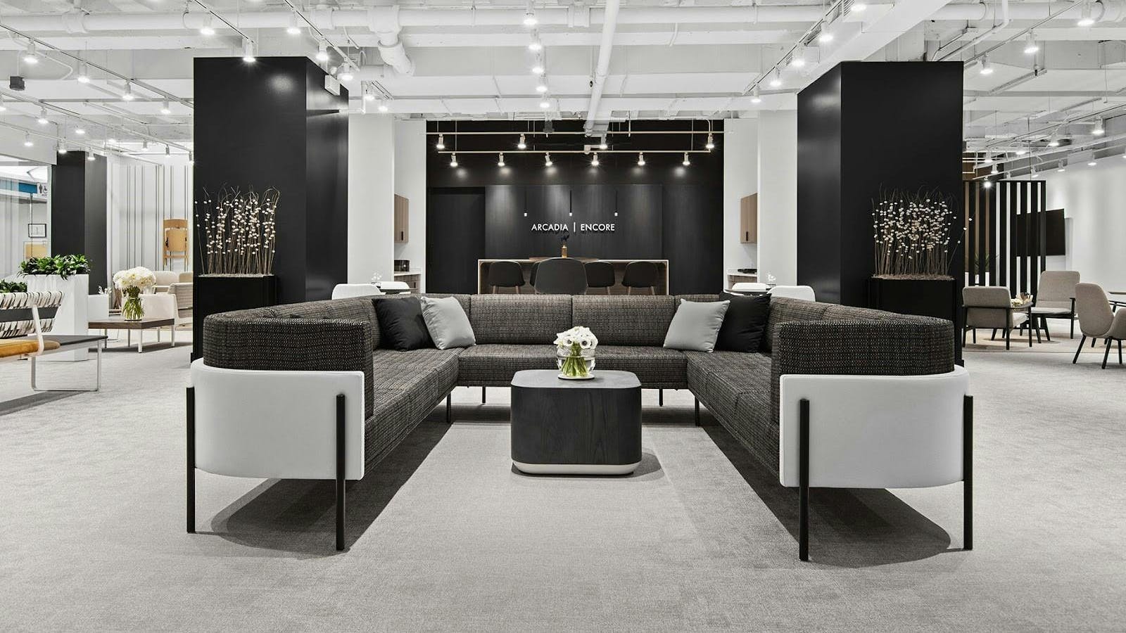 6697c9e836458a1c6f3cd0ee Arcadia 1