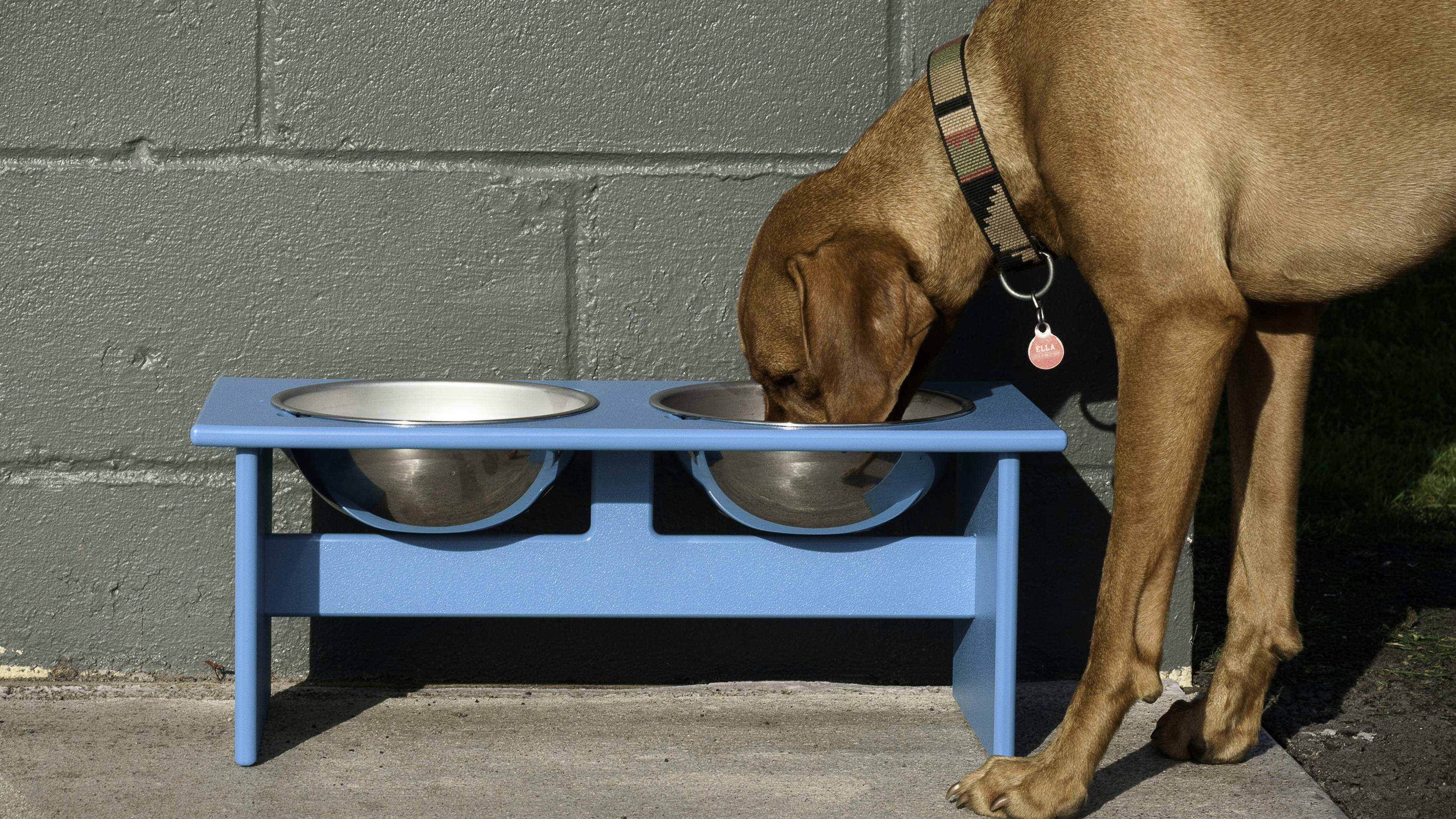 67576bfc7c83e62d3d352103 Loll Designs Dog Bowl 6