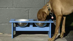 67576bfc7c83e62d3d352103 Loll Designs Dog Bowl 6 67576bfc7c83e62d3d352103 Loll Designs Dog Bowl 6