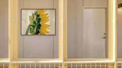 Oversized print of sunflower hanging on wall. Oversized print of sunflower hanging on wall.