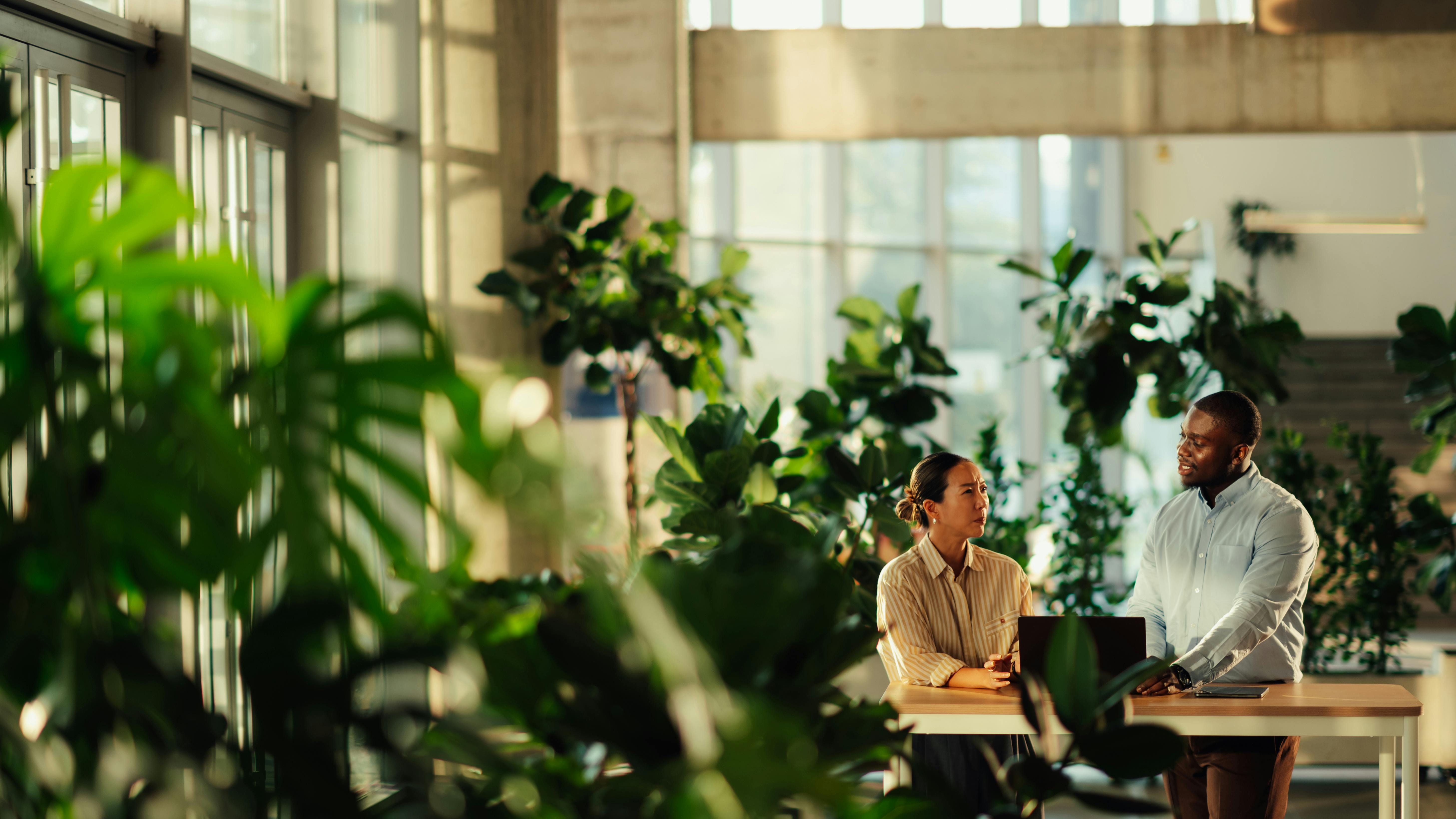 Two business people talking at table surrounded by plants.