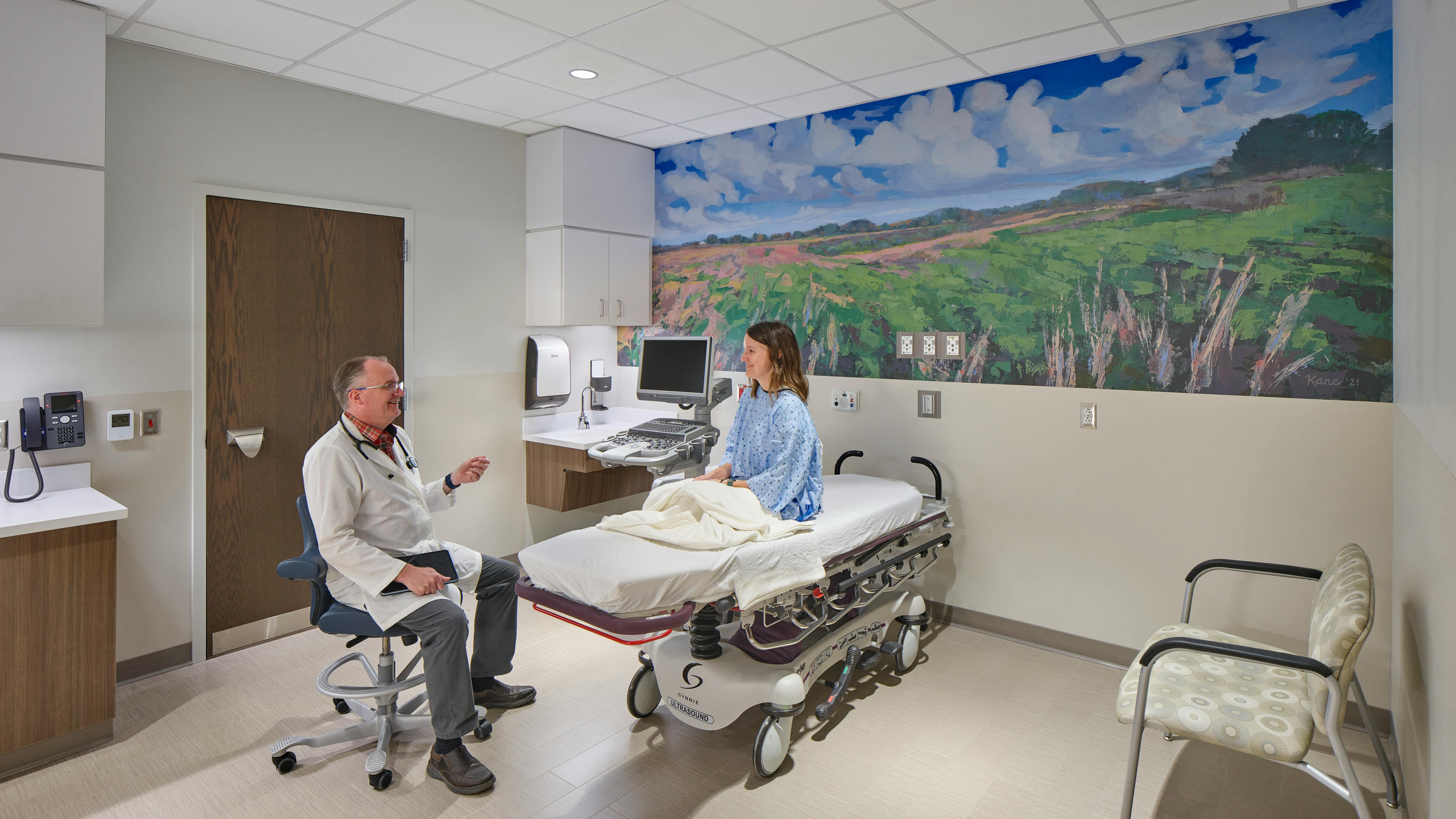 Healthcare provider and patient talking in exam or patient room with mural on the wall