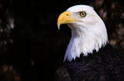 Industryweek Com Sites Industryweek com Files Uploads 2012 10 Eagle Eye Industryweek Com Sites Industryweek com Files Uploads 2012 10 Eagle Eye