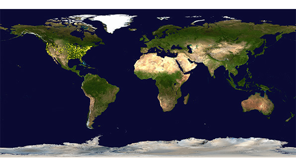 Global Growth to be Disappointing and Patchy in 2016 IMF