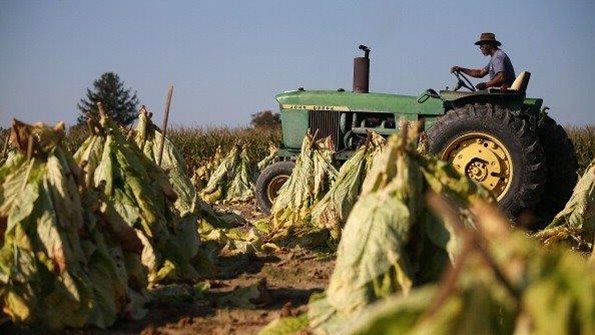 Deere Cuts Profit Forecast After Farm Economy Deteriorates