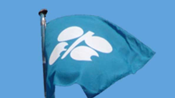 OPEC flag