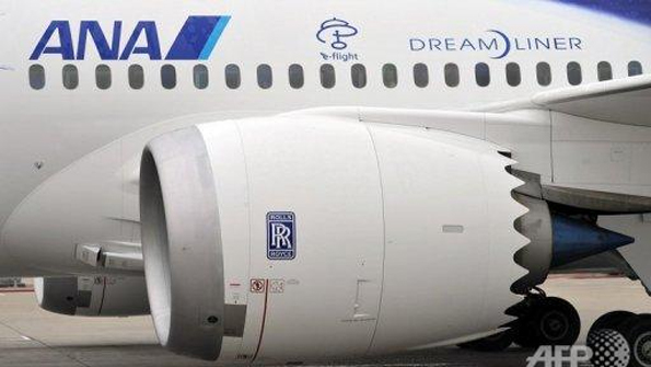 Travelers Worried by Dreamliner Glitches