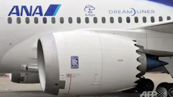 Travelers Worried by Dreamliner Glitches Travelers Worried by Dreamliner Glitches