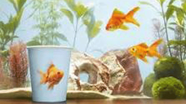 Huhtamaki Continues US Expansion Opening New Facility at Old Ford Plant